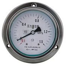 軸向帶邊電接點壓力表